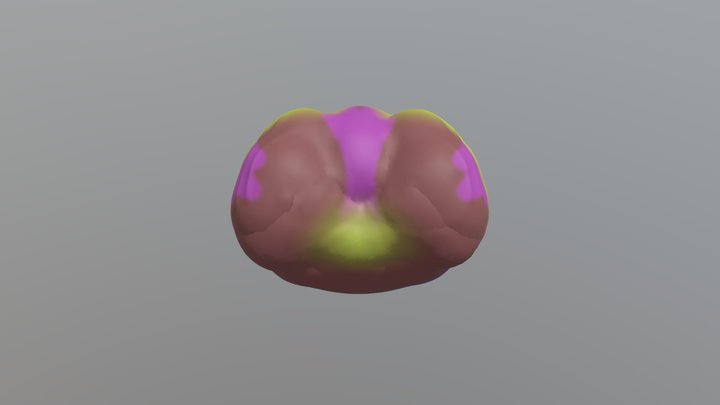 crapchute 3D Model