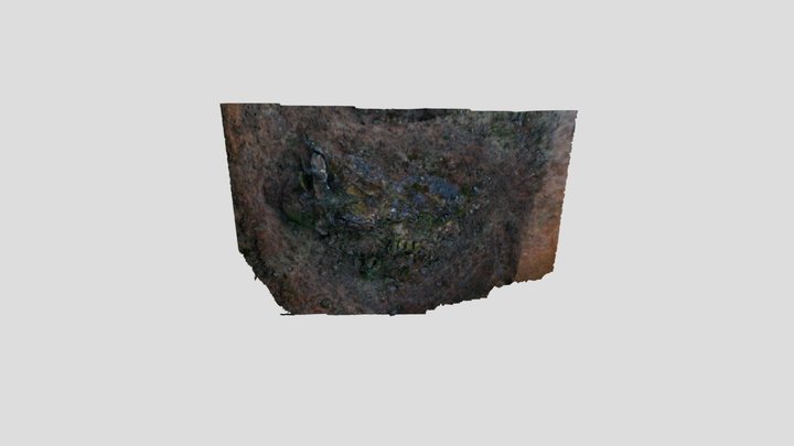 RIN24_RM2_LOW 3D Model