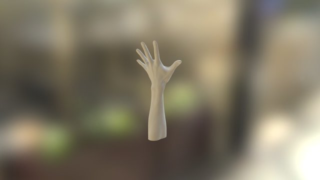 Arm Long 3D Model