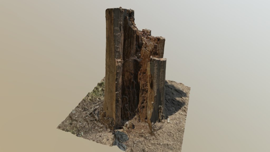 Stump