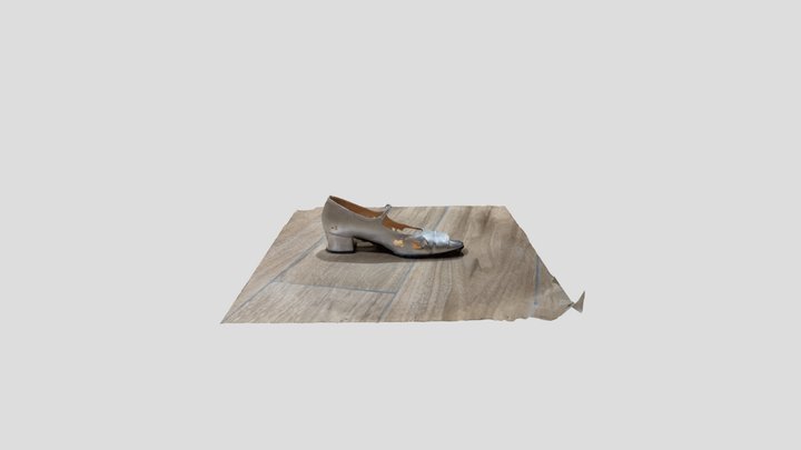 Shoes 3D Model