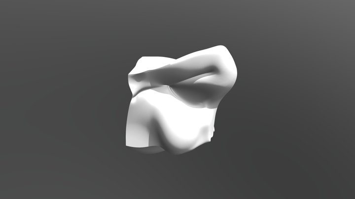 fragment 3D Model