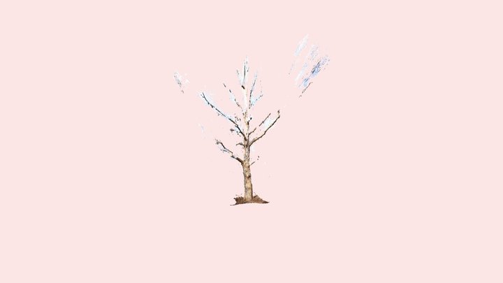 Dead tree standing 3D Model