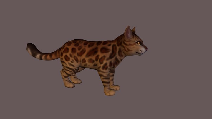 Cat 3D Model