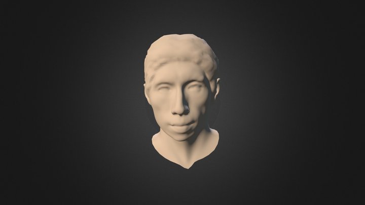 Ericy Stu&hair01 3D Model