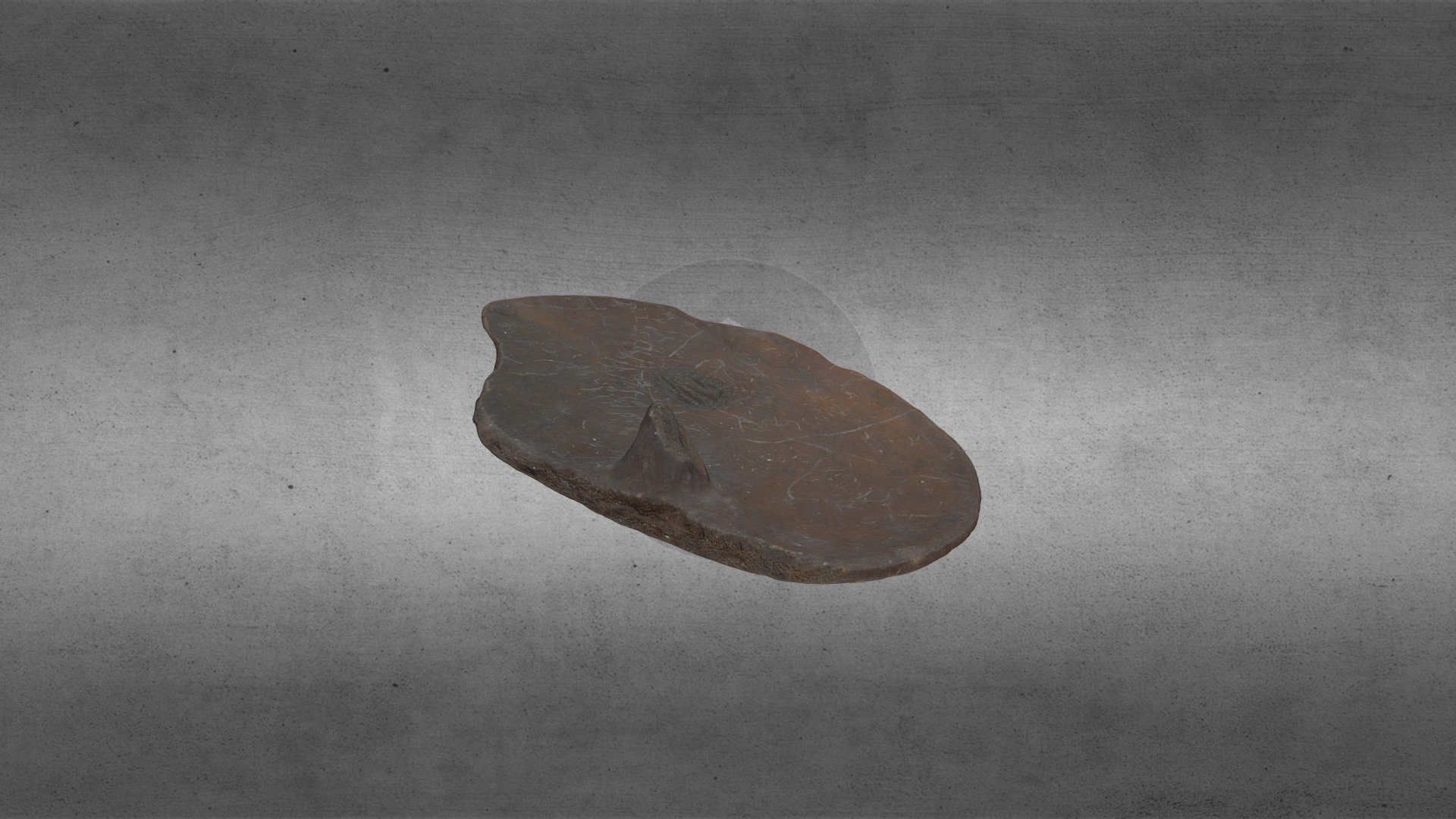 Tapa