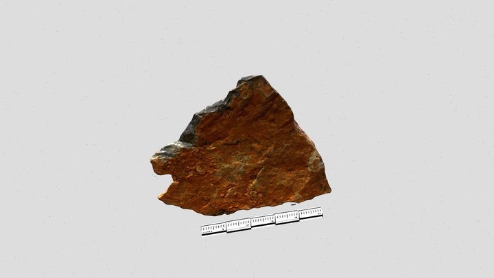 W23-06 A With Scale Bar 3D Model