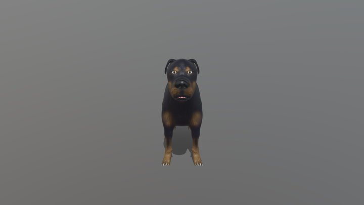 Personal Animal Character Model - Ash 3D Model