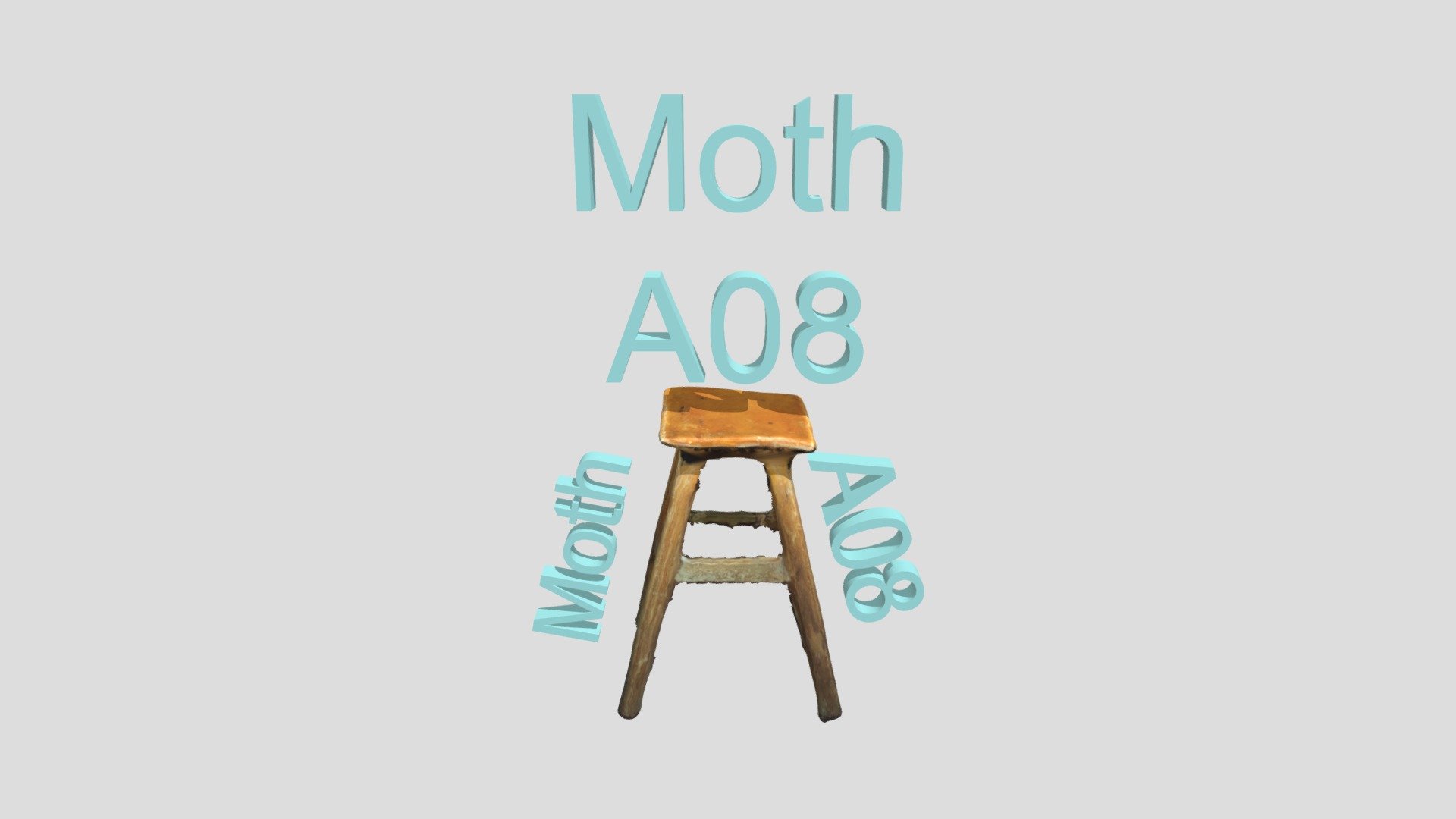 INDA_Y1_DTS_GROUP A_Moth