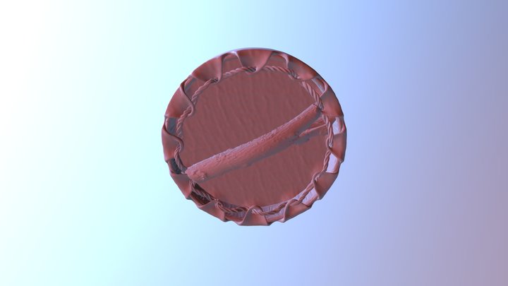 Shaman's Tambourine 3D Model