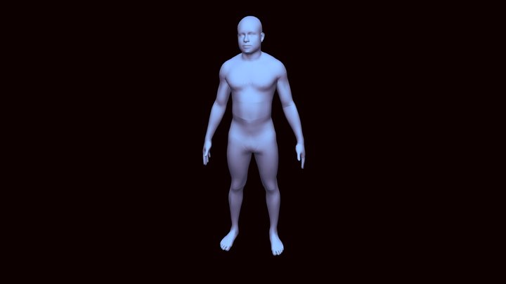 3D Body Model PQ 3D Model
