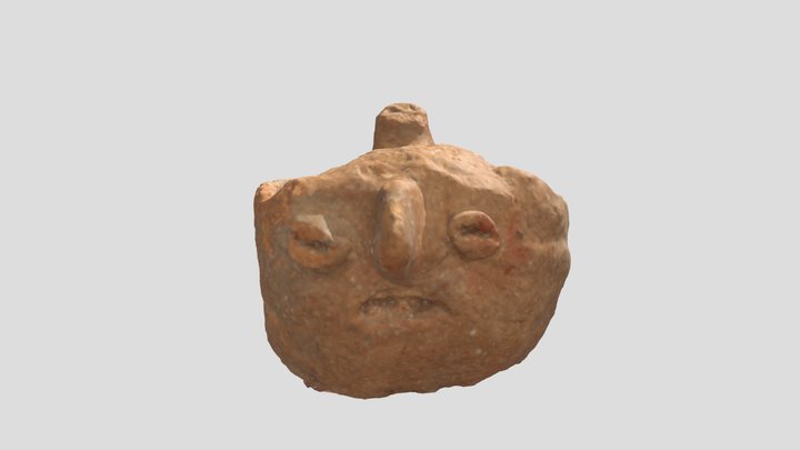 Two-Faced Double-Chambered Vessel 3D Model