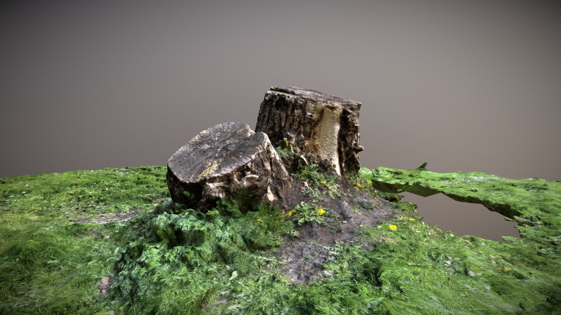 Stub2 Maybe New Photo Mesh Needed