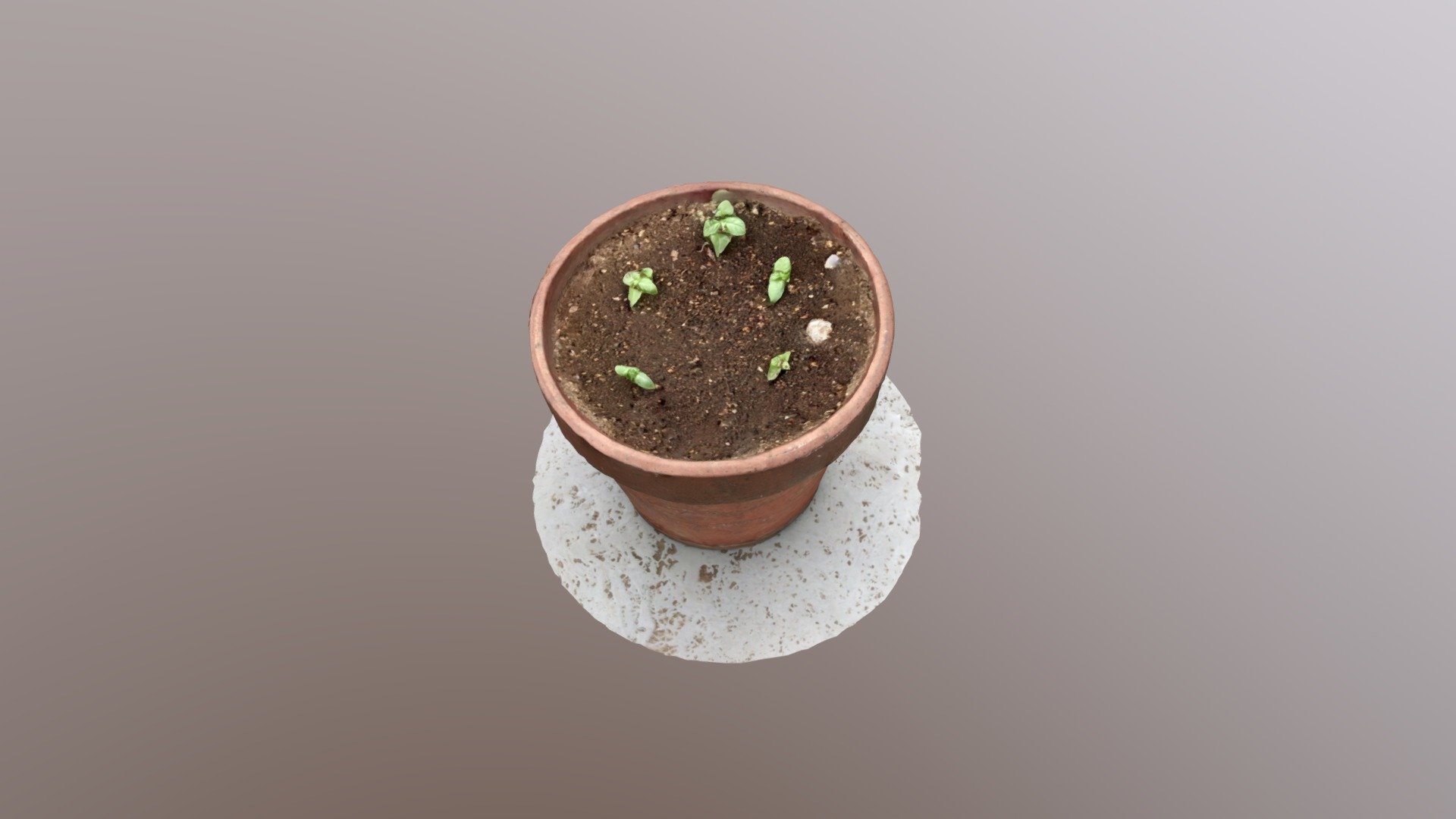 植木鉢