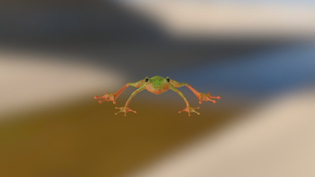 Low Poly Frog 3D Model