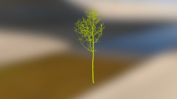 Straits / Oak 8 3D Model