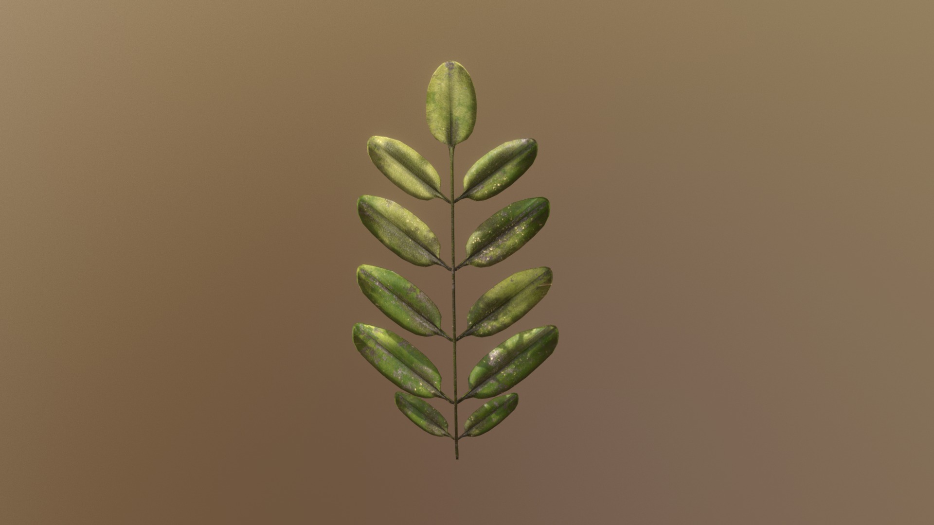 3D model Black Locust Leaf - This is a 3D model of the Black Locust Leaf. The 3D model is about a plant with leaves.