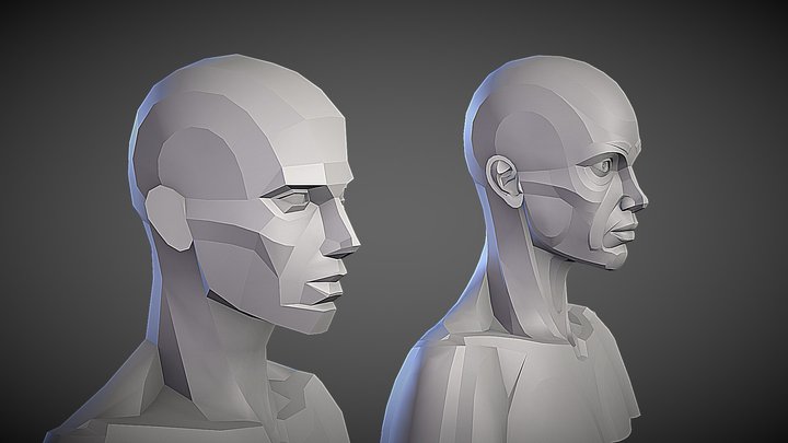 Planar Female Head 3D Model