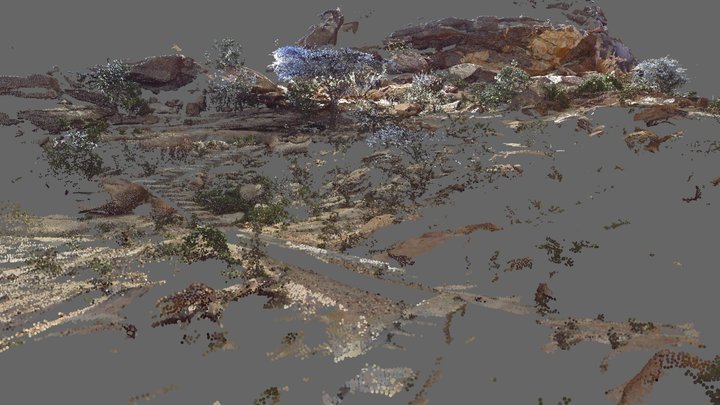 Laas Geel Point Cloud – Modelo 3D gratuito STL