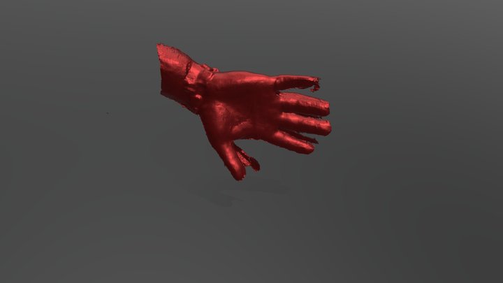 Hand 3D Model