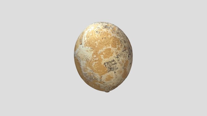 Egg_squash 3D Model