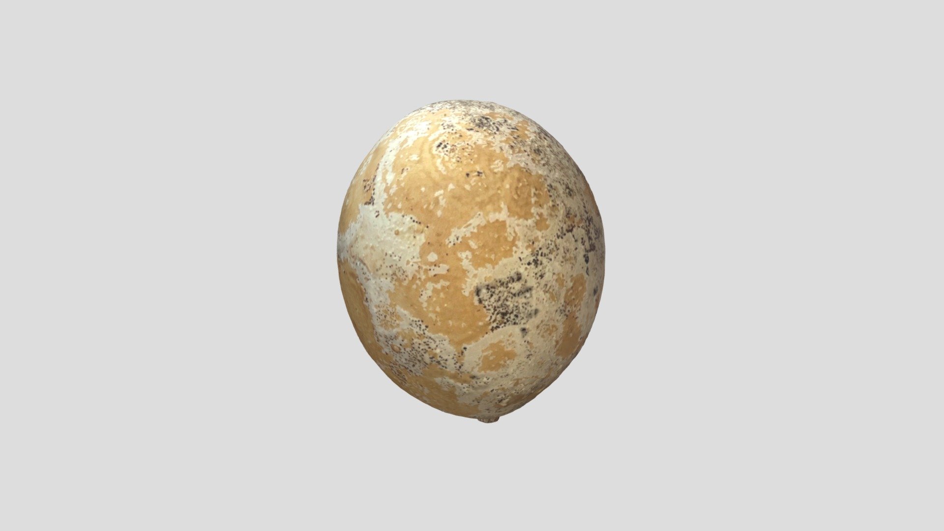 Egg_squash - 3D model by norma (@nkatz) [65ca095] - Sketchfab