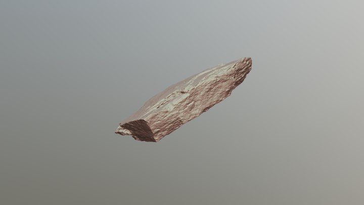 fossile 3D Model