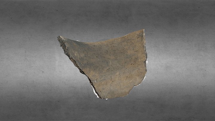 NHMU Ceramic Sherd 1008 3D Model