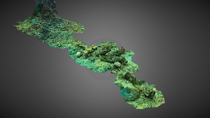 Canon site east coast Dutch isle of Bonaire 3D Model