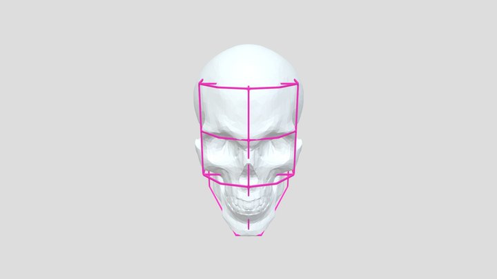 RockHe Kim Skull Cage 3D Model