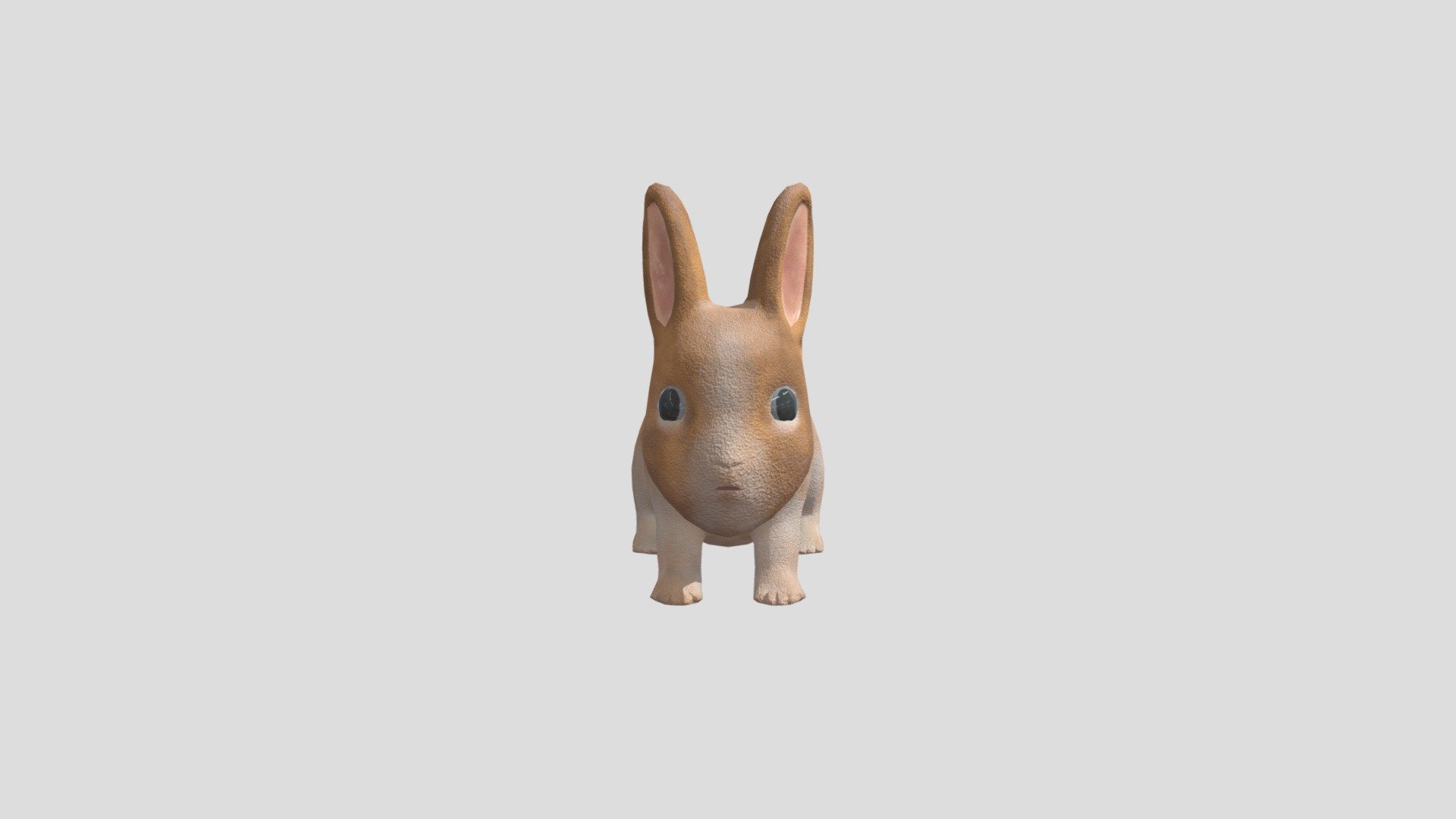rabbit - 3D model by s20116163 [65da6d7] - Sketchfab