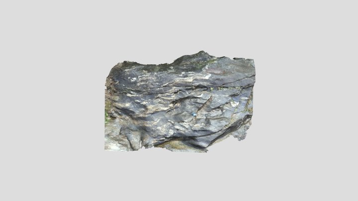 Migmatites in a shear zone in Bela Reka 3D Model