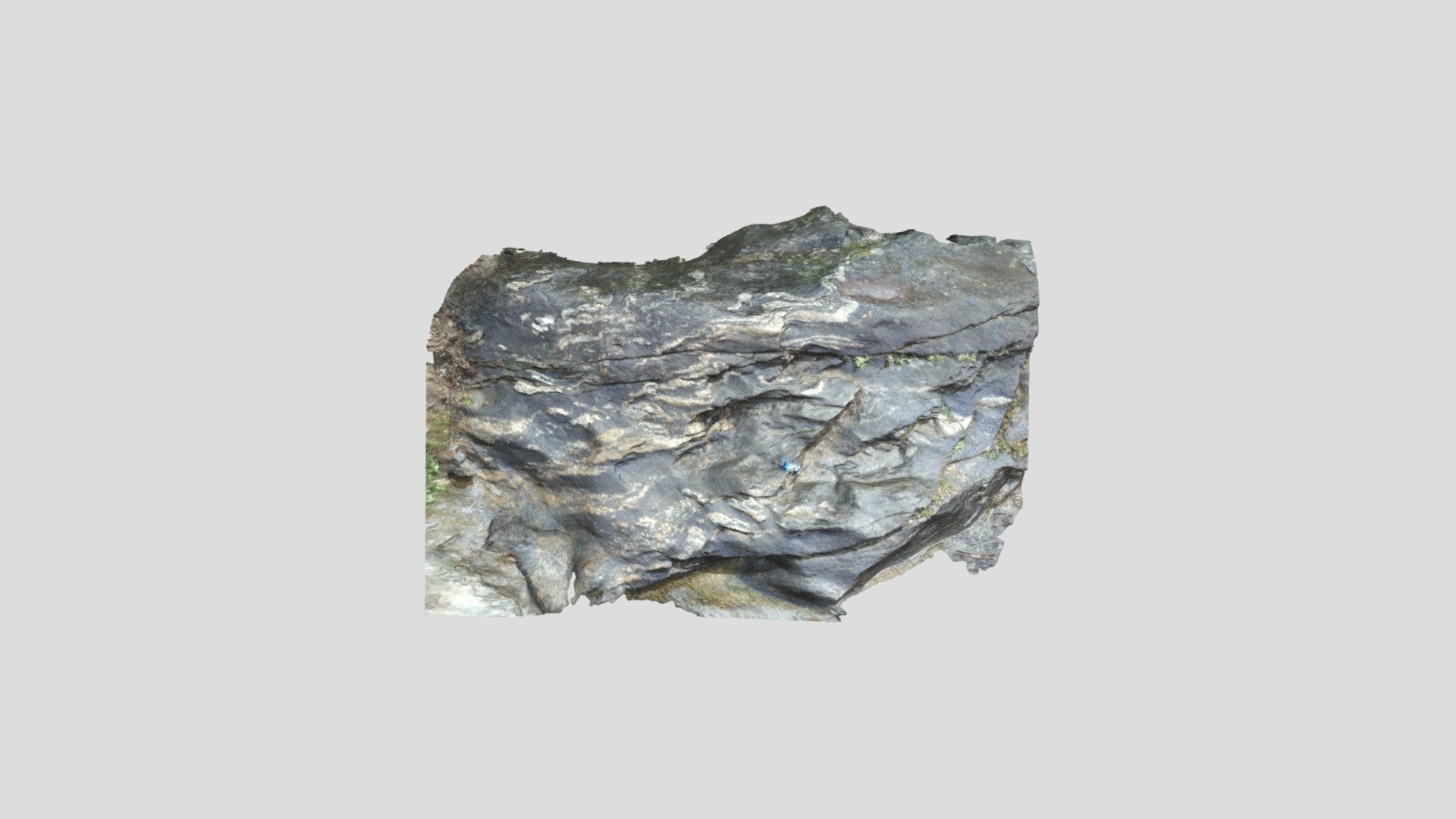 Migmatites in a shear zone in Bela Reka