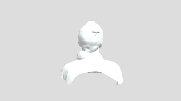 Model 3D Model