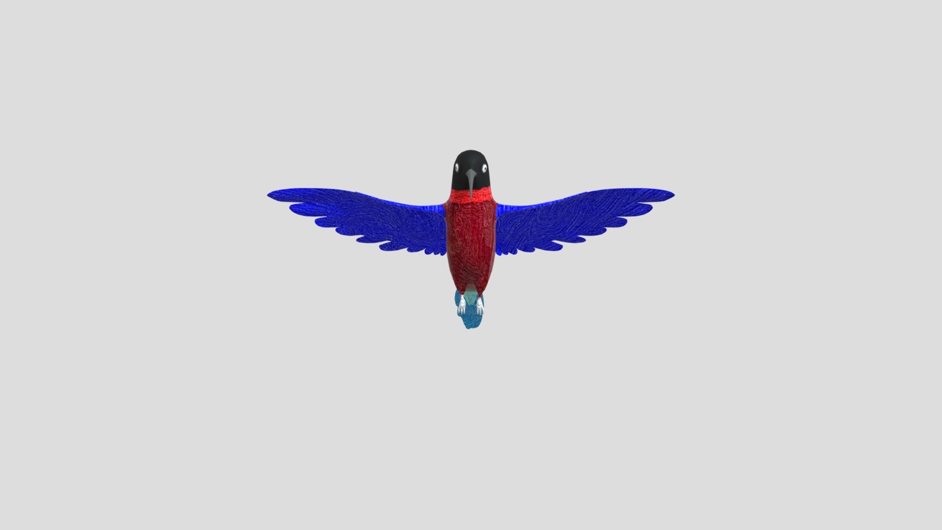 Ray, O Beija-flor Divertido