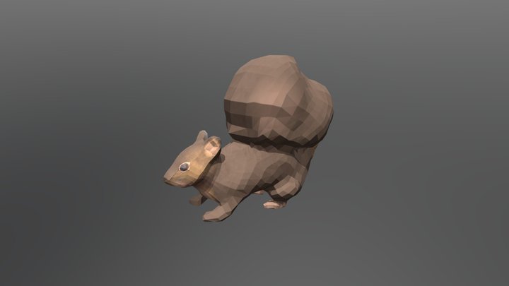 Squirrel 3D Model