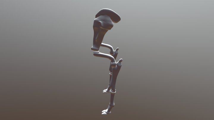 Bone Cow 3D Model