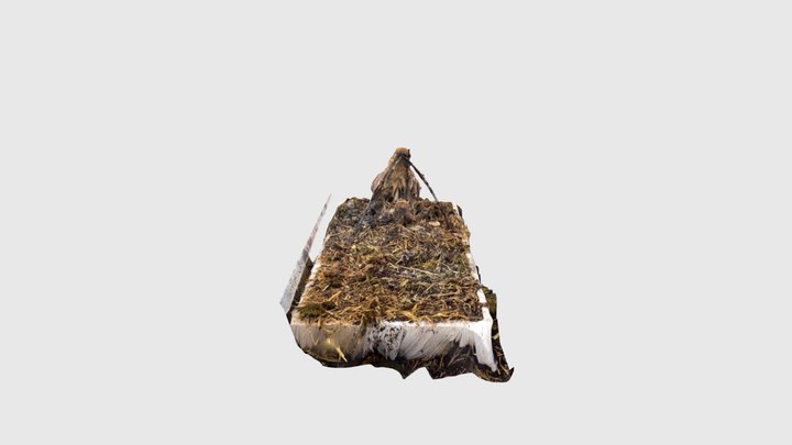 goat head 16.9 3D Model