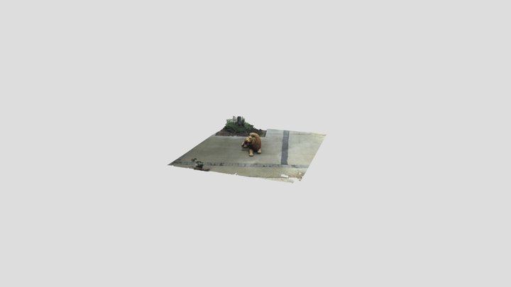 school project lion 3D Model