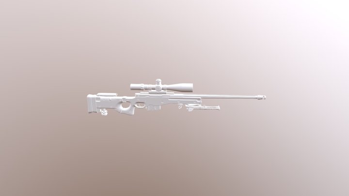 AWP 3D Model