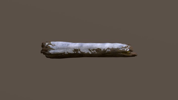Snowy Fallen Tree 3D Model