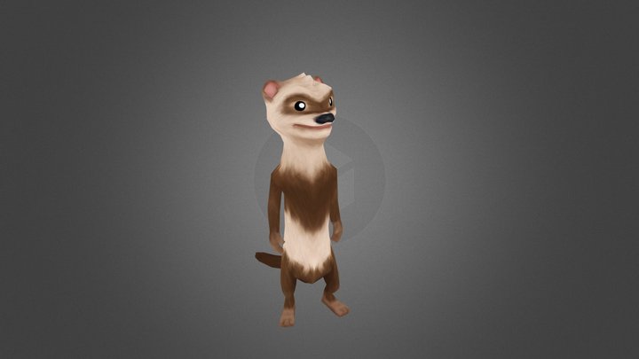 Weasel 3D Model