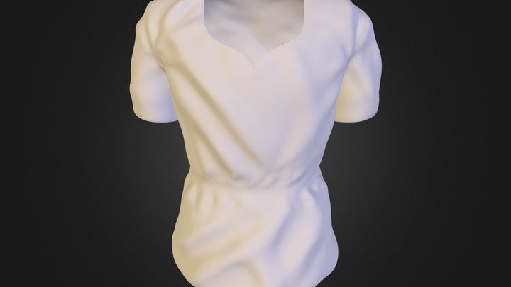 Camisa do Link 3D Model