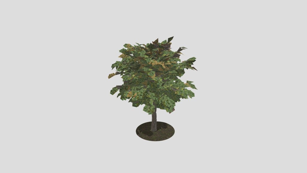 Low Poly Broadleaf Autumn Tree