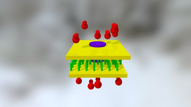 Membrane 3D Model
