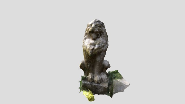 Lion Test 3D scan 3D Model