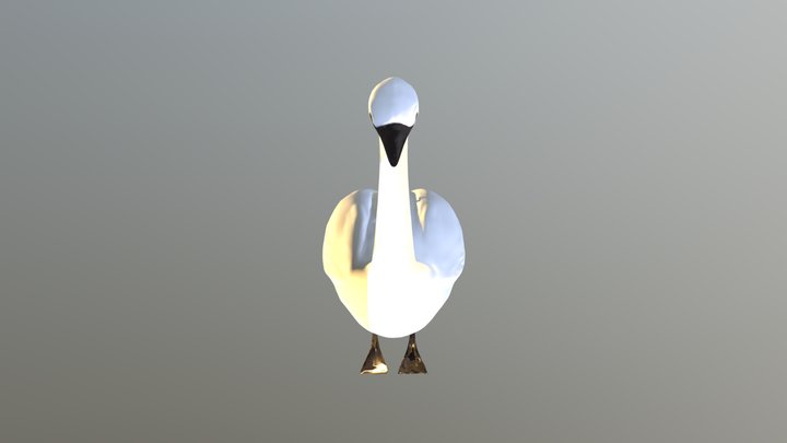 Swan 3D Model