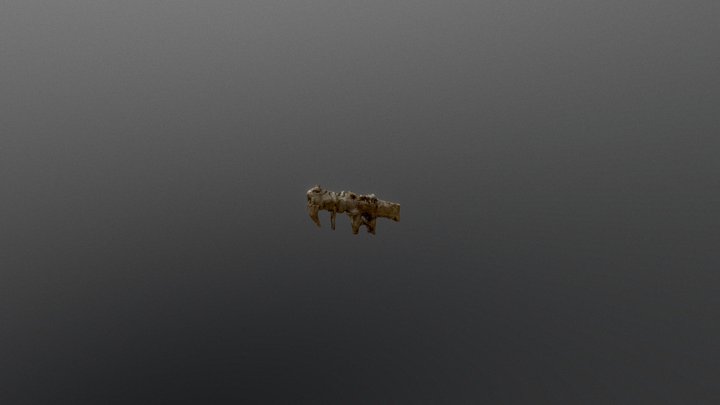 Organic_Bone_Rifle 3D Model