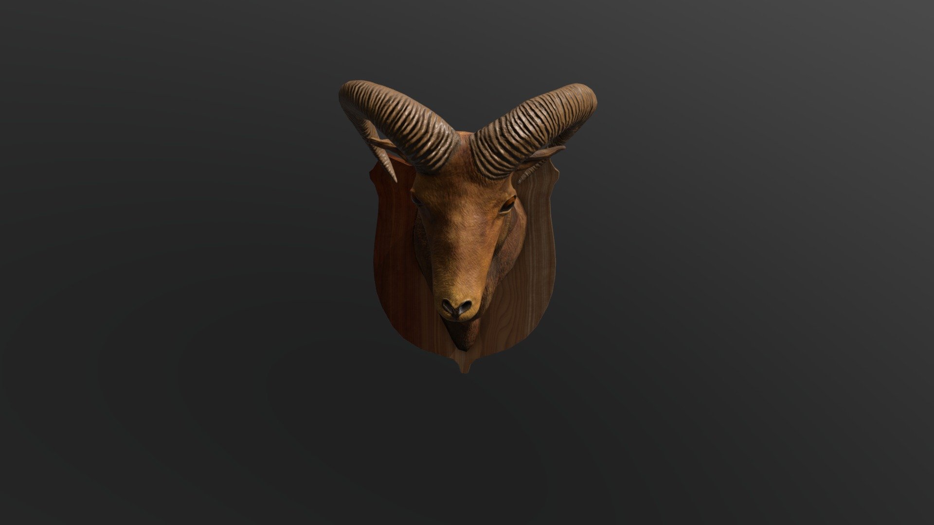 Muflon