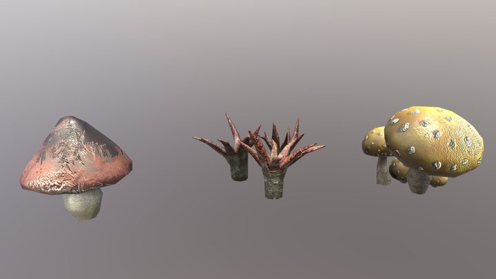 Mushroom Set